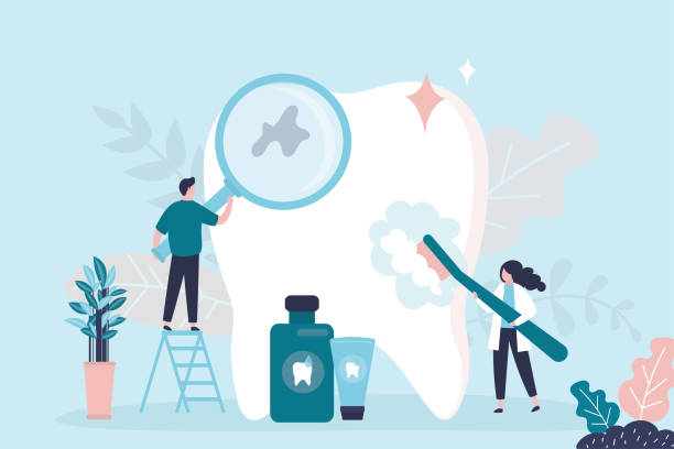 Professional  Holistic Dental Services in Kenmore, NY